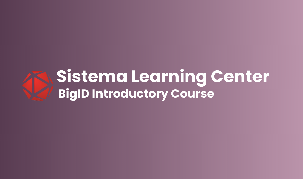 BigID Introductory Course